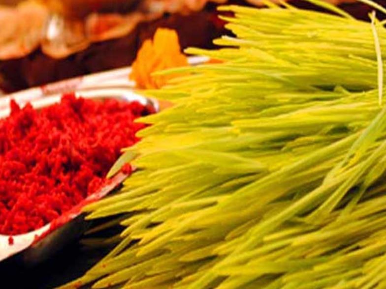 आजदेखि दशैँ सुरु, घटस्थापनासहित जमरा राखिँदै